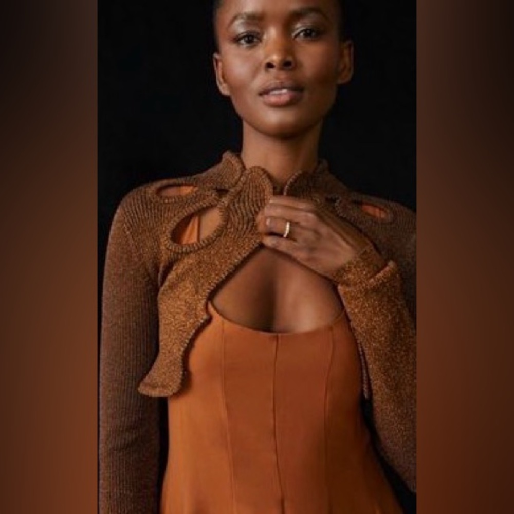 Anthropologie Brown Crop Top